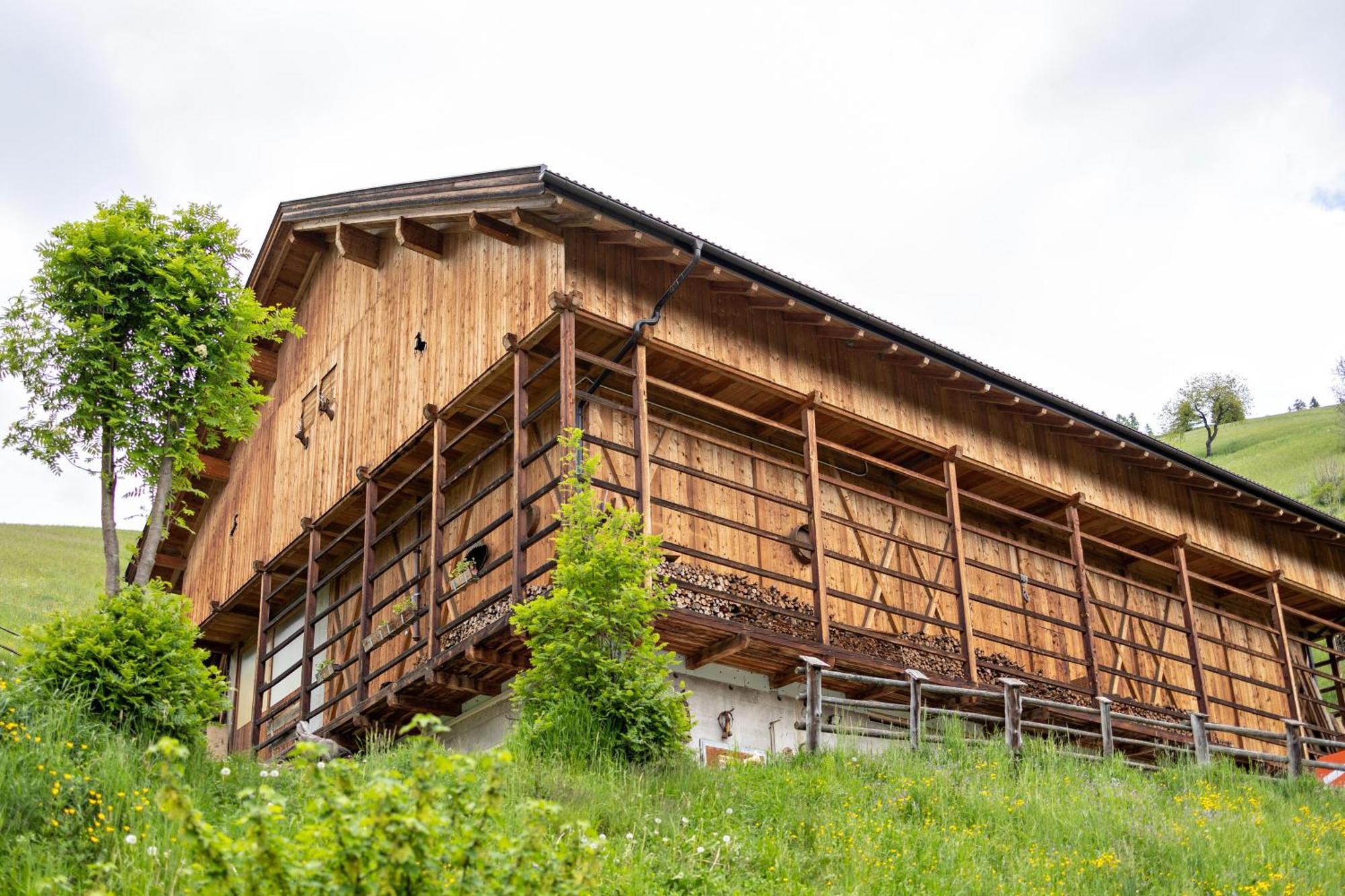 Bolser App Plan De Corones San Vigilio Di Marebbe Szoba fotó